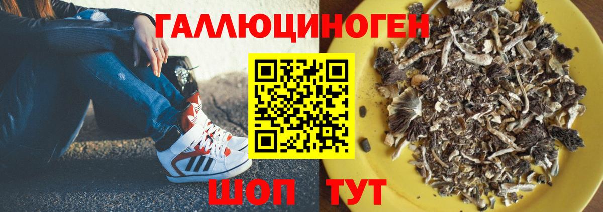 Псилоцибиновые грибы мухоморы  Вход с VPN  Вичуга 
