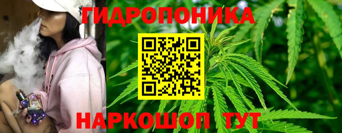 Каннабис SATIVA & INDICA Вичуга