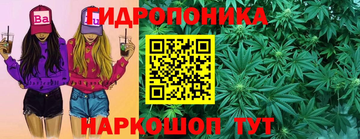 Вичуга  Конопля планчик  Бошки Шишки LSD WEED  Вход с VPN 
